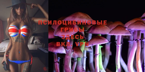 МДПВ Алексеевка