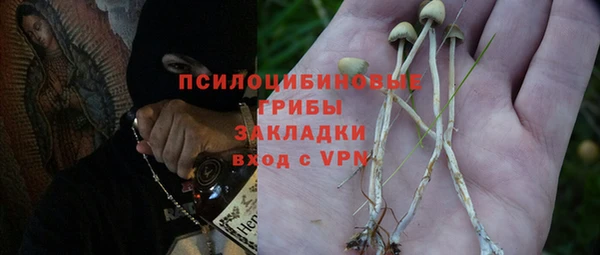 дживик Алзамай